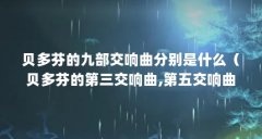 贝多芬的九部交响曲分别是什么(贝多芬的第三交响曲,第五交响曲,第六交响曲