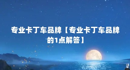 专业卡丁车品牌【专业卡丁车品牌的1点解答】