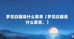 梦见白猫是什么意思【梦见白猫是什么意思，】