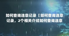 如何查询违章记录【如何查询违章记录，2个相关介绍如何查询违章记录】