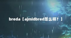 breda【ajmidbred怎么样？】