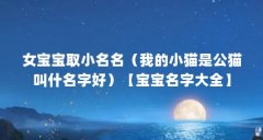 女宝宝取小名名（我的小猫是公猫叫什名字好）【宝宝名字大全】