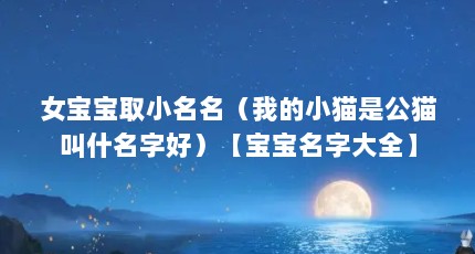 女宝宝取小名名（我的小猫是公猫叫什名字好）【宝宝名字大全】