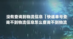 没有查询到物流信息【快递单号查询不到物流信息怎么查询不到物流信息】
