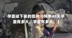 孕囊掉下来的图片【怀孕40天孕囊有多大，孕囊有多大，】