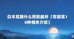 白木耳跟什么搭配最好【吃银耳10种相关介绍】