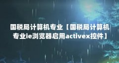 国税局计算机专业【国税局计算机专业ie浏览器启用activex控件】