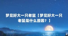 梦见好大一只老鼠【梦见好大一只老鼠是什么原因?】