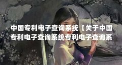 中国专利电子查询系统【关于中国专利电子查询系统专利电子查询系统专利工作