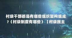 村级干部都是有哪些组织架构组成?(村级制度有哪些)【村级民主决策制度】