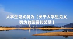 大学生见义勇为【关于大学生见义勇为的荣誉和奖励】