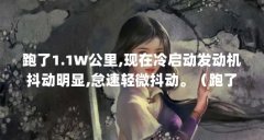 跑了1.1W公里,现在冷启动发动机抖动明显,怠速轻微抖动。（跑了1.1万公里,领克