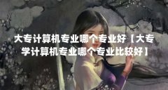 大专计算机专业哪个专业好【大专学计算机专业哪个专业比较好】