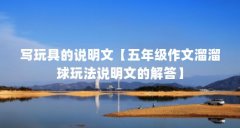 写玩具的说明文【五年级作文溜溜球玩法说明文的解