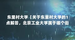 东里村大学【关于东里村大学的1点解答,北京工业大学属于哪个街道】