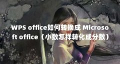 WPS office如何转换成 Microsoft office(小数怎样转化成分数)【wps%文件转化为100分