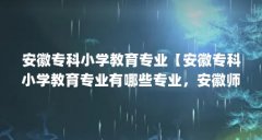 安徽专科小学教育专业【安徽专科小学教育专业有哪些专业,安徽师范大学专业