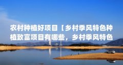 农村种植好项目【乡村季风特色种植致富项目有哪些,乡村季风特色种植致富项