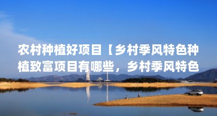 农村种植好项目【乡村季风特色种植致富项目有哪些，乡村季风特色种植致富项目】