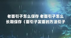 老面引子怎么保存 老面引子怎么长期保存(面引子发面的方法引子怎么做)【