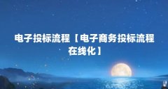 电子投标流程【电子商务投标流程在线化】