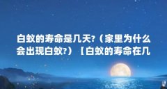 白蚁的寿命是几天?(家里为什么会出现白蚁?)【白蚁的寿命在几天?】