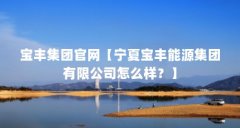宝丰集团官网【宁夏宝丰能源集团有限公司怎么样?】