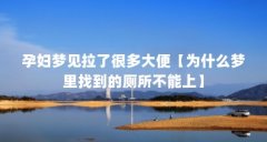 孕妇梦见拉了很多大便【为什么梦里找到的厕所不能上】