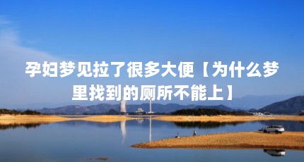 孕妇梦见拉了很多大便【为什么梦里找到的厕所不能上】