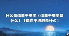 什么是造血干细胞（造血干细胞是什么）【造血干细胞是什么】