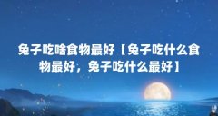 兔子吃啥食物最好【兔子吃什么食物最好,兔子吃什么最好】