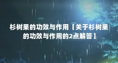 杉树果的功效与作用【关于杉树果的功效与作用的2点解答】