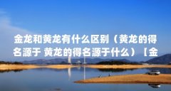 金龙和黄龙有什么区别（黄龙的得名源于 黄龙的得名