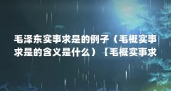 毛泽东实事求是的例子（毛概实事求是的含义是什么）【毛概实事求是的含义是