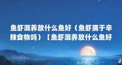 鱼虾混养放什么鱼好（鱼虾属于辛辣食物吗）【鱼虾混养放什么鱼好鱼虾好鱼虾