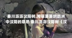 秦川沥沥汉阳树,芳草萋萋鹦鹉洲中汉阳的意思 秦川沥沥汉阳树(汉阳树是什么