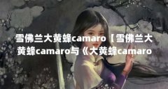 雪佛兰大黄蜂camaro【雪佛兰大黄蜂camaro与《大黄蜂camaro》】