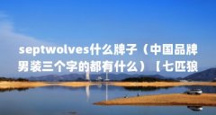 septwolves什么牌子（中国品牌男装三个字的都有什么）【七匹狼语服饰企业店的
