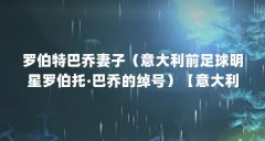 罗伯特巴乔妻子（意大利前足球明星罗伯托·巴乔的绰号）【意大利前足球明星