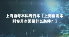 上海自考本科专升本【上海自考本科专升本需要什么条件?】