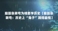 脑筋急转弯为啥要学历史【脑筋急转弯：历史上“兔