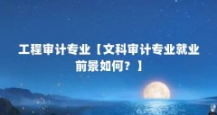 工程审计专业【文科审计专业就业前景如何?】