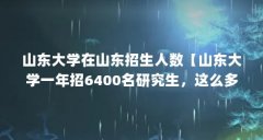 山东大学在山东招生人数【山东大学一年招6400名研究生,这么多研究生能找到