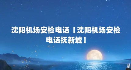 沈阳机场安检电话【沈阳机场安检电话抚新城】