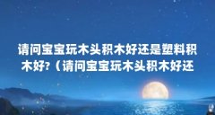 请问宝宝玩木头积木好还是塑料积木好?（请问宝宝玩木头积木好还是塑料积木