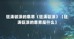 狂涛骇浪的意思(狂涛巨浪)【狂涛巨浪的意思是什么】