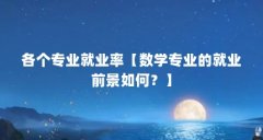 各个专业就业率【数学专业的就业前景如何?】