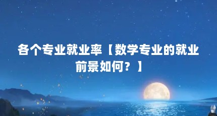 各个专业就业率【数学专业的就业前景如何？】