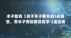 木子取名【关于木子取名的3点解答,带木子旁的男孩名字(适合男孩取名)】