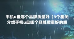 手机u盘哪个品牌质量好【3个相关介绍手机u盘哪个品牌质量好的解答】